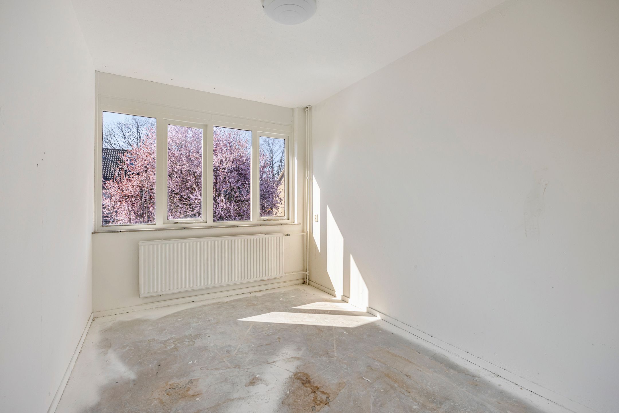 Foto 30 van J.C. Bloemstraat 15