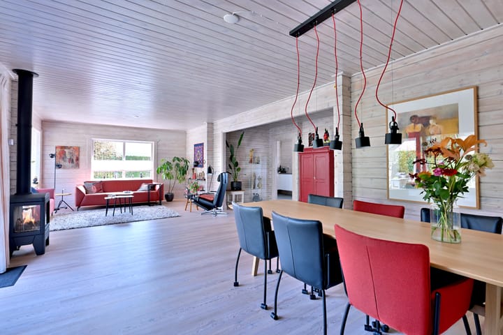 Foto 7 van Rhiender Es 24