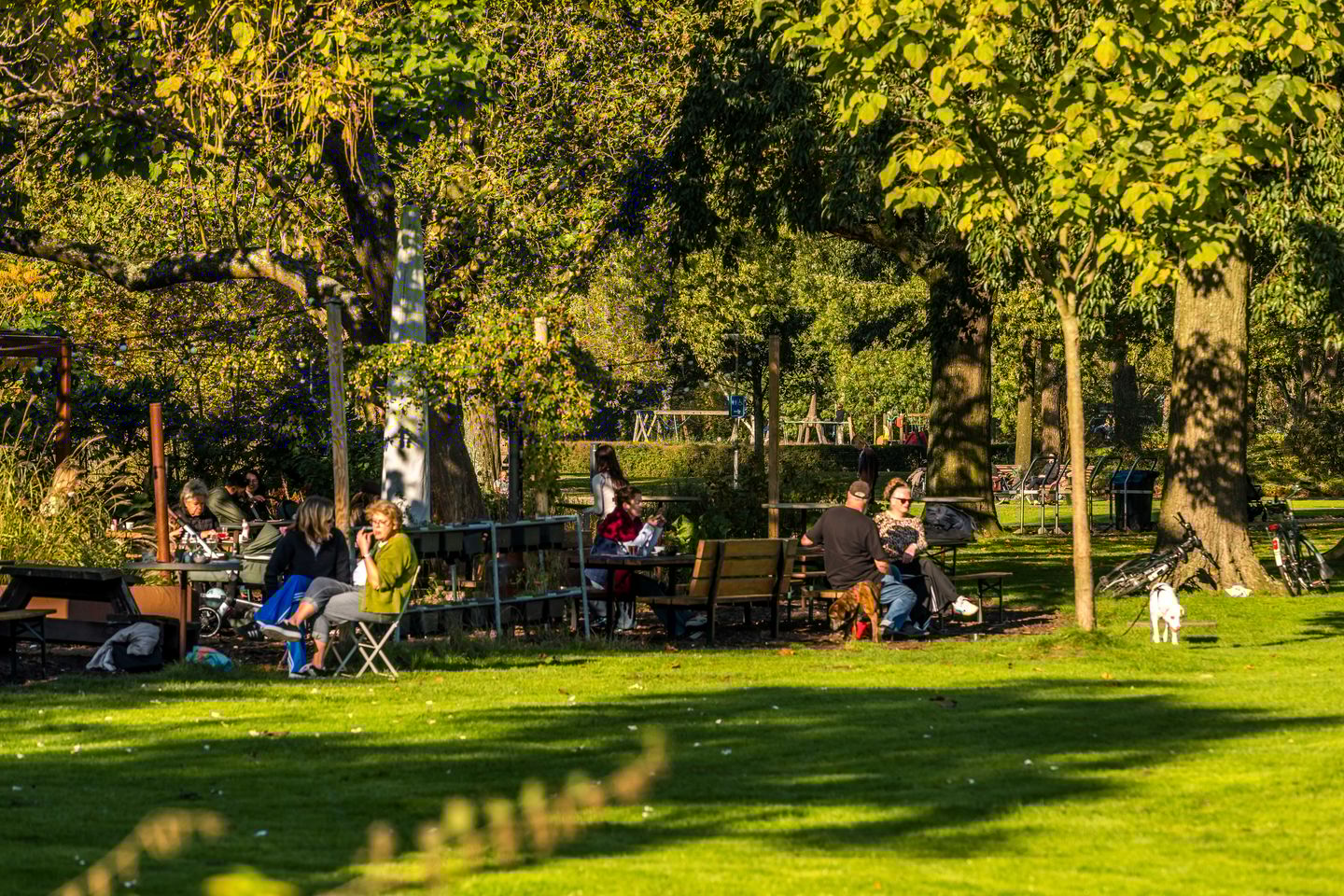 Foto 50 van Van der Dussenstraat 18-B01