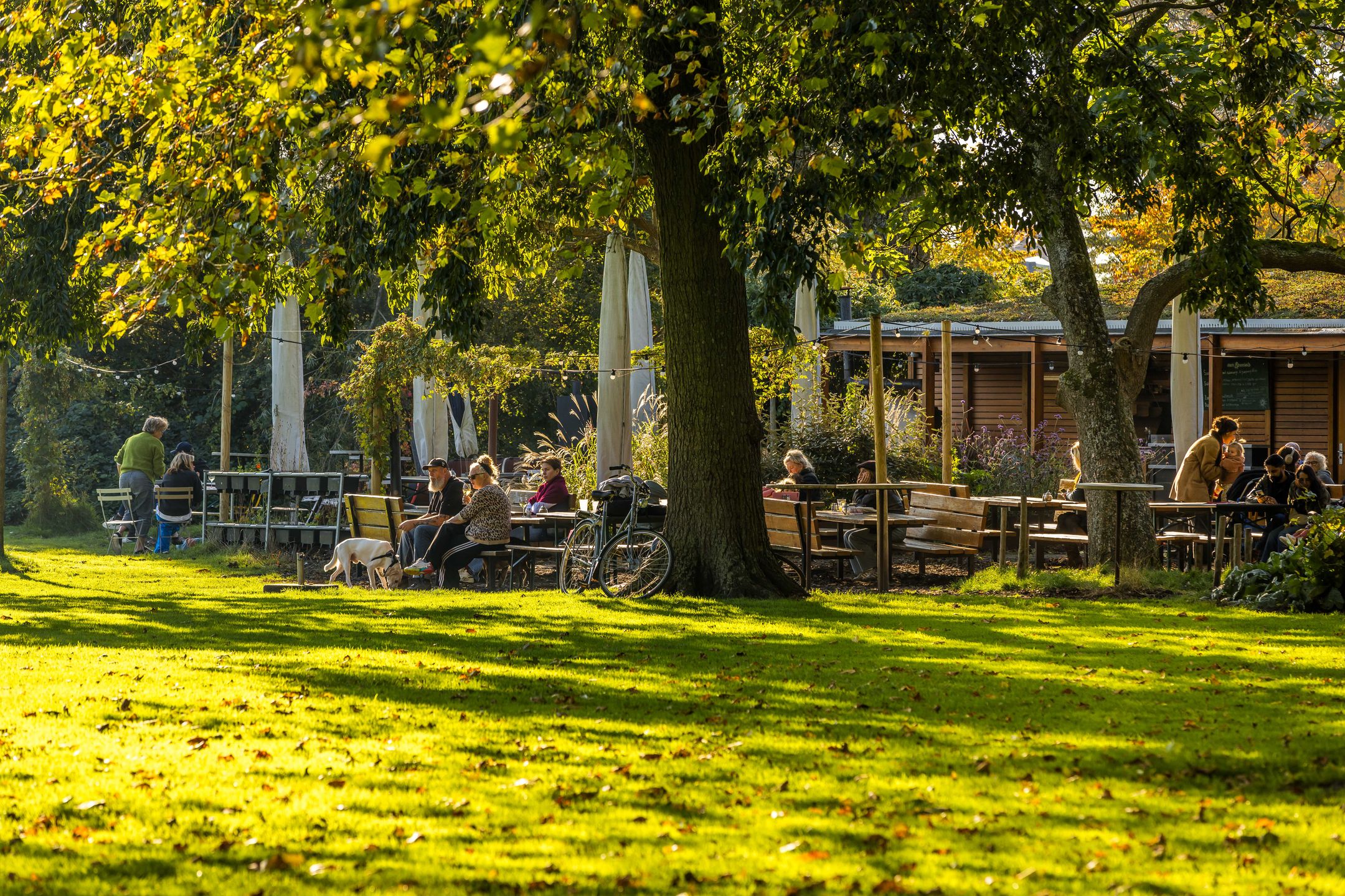 Foto 51 van Van der Dussenstraat 18-B01