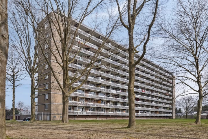 Foto 4 van Lisztgaarde 78