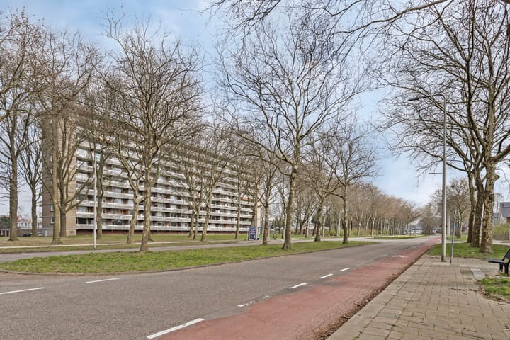 Foto 17 van Lisztgaarde 78