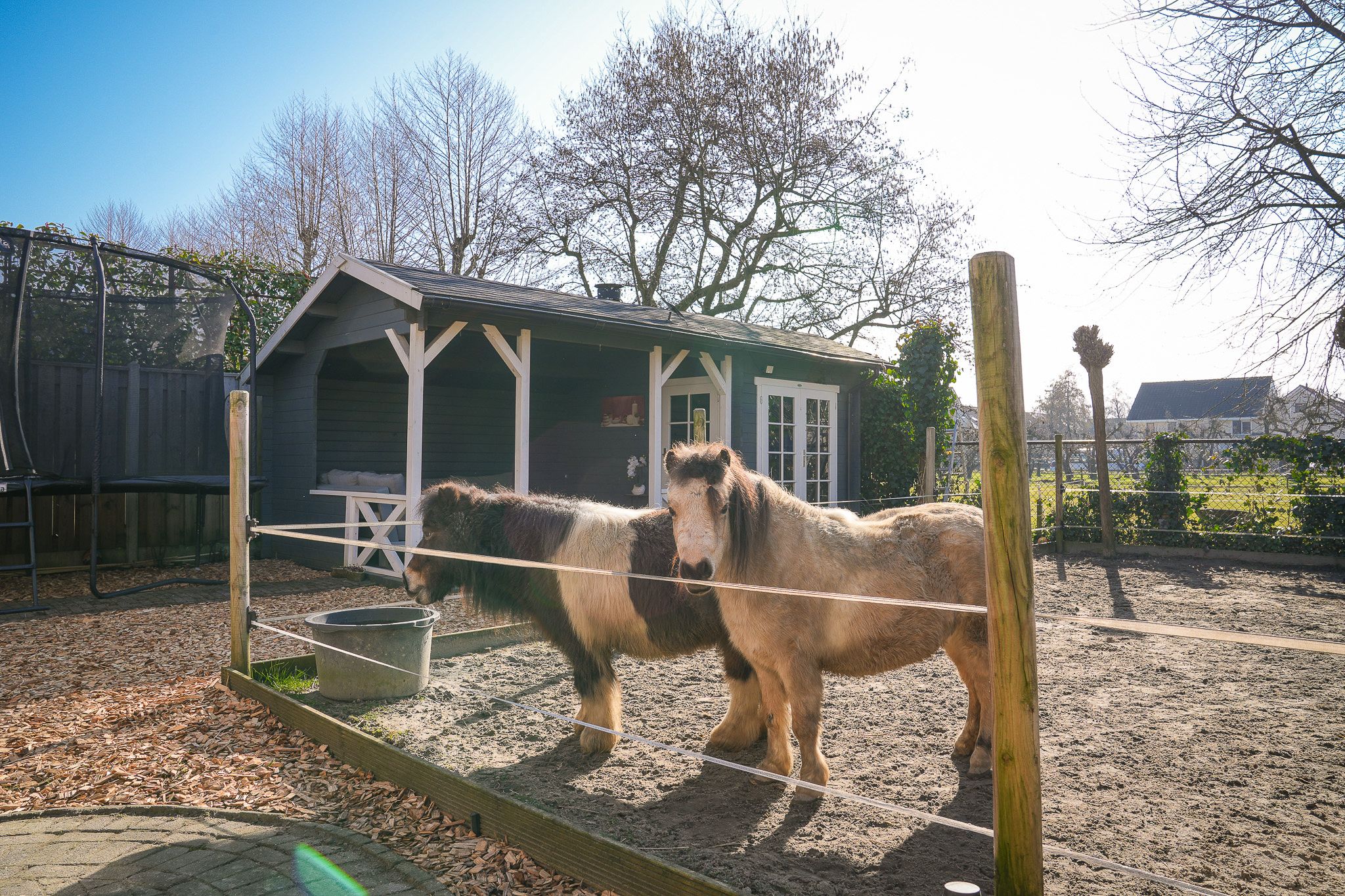 Foto 36 van Kerkverreweide 17