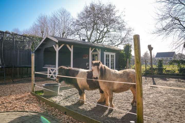 Foto 36 van Kerkverreweide 17