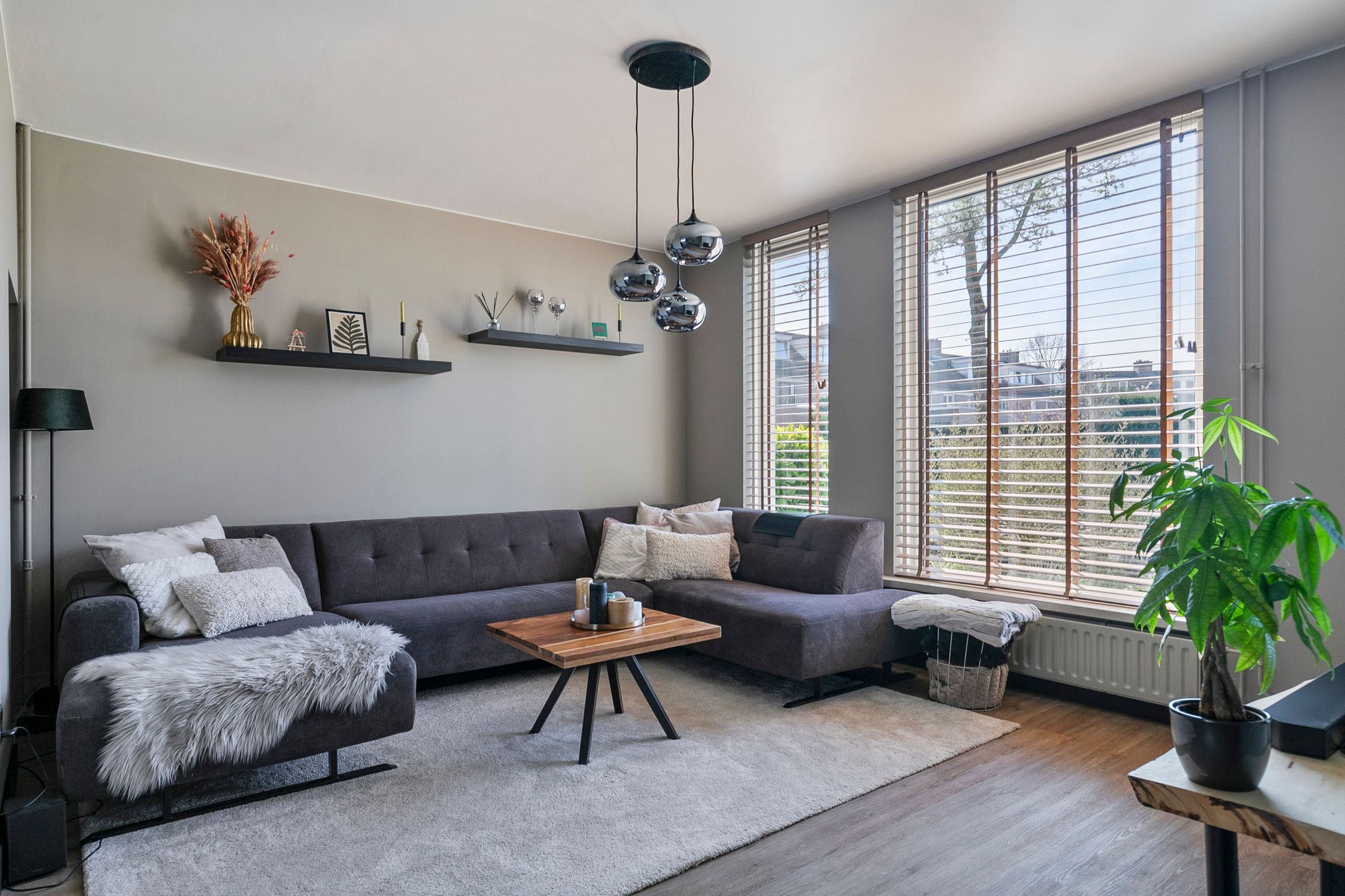 Foto 6 van Duizendblad 3