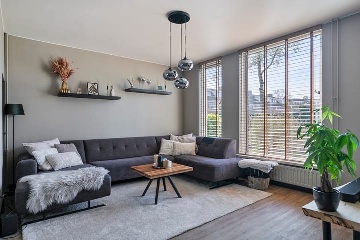 Foto 6 van Duizendblad 3