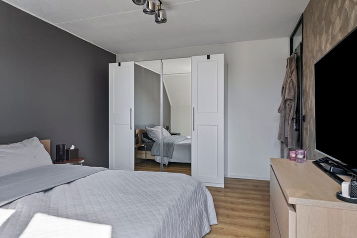 Foto 24 van Duizendblad 3