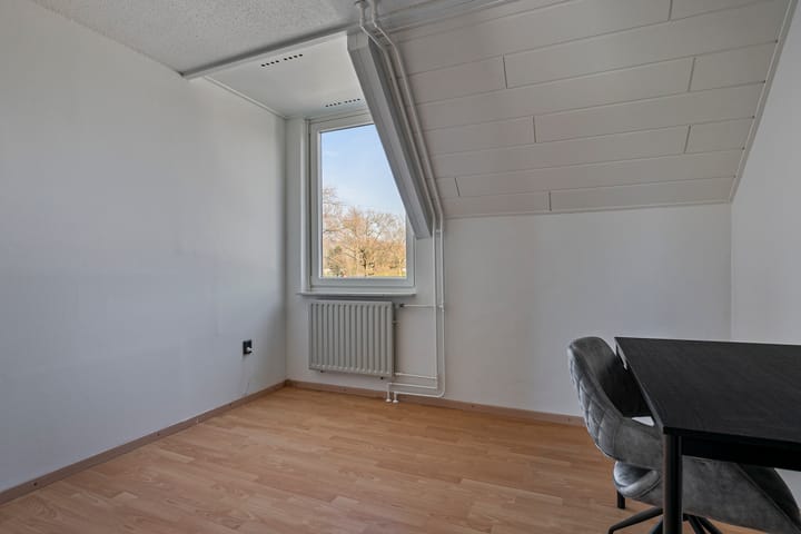 Foto 25 van Duizendblad 3