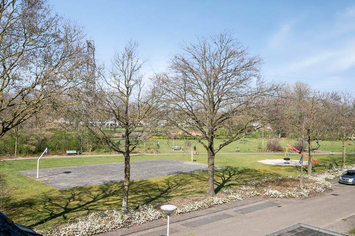 Foto 41 van Duizendblad 3