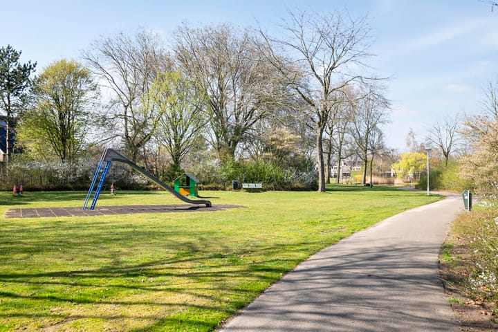 Foto 42 van Duizendblad 3