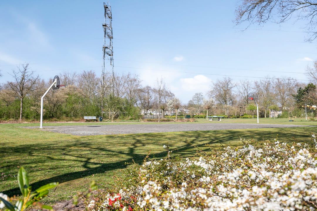 Foto 43 van Duizendblad 3