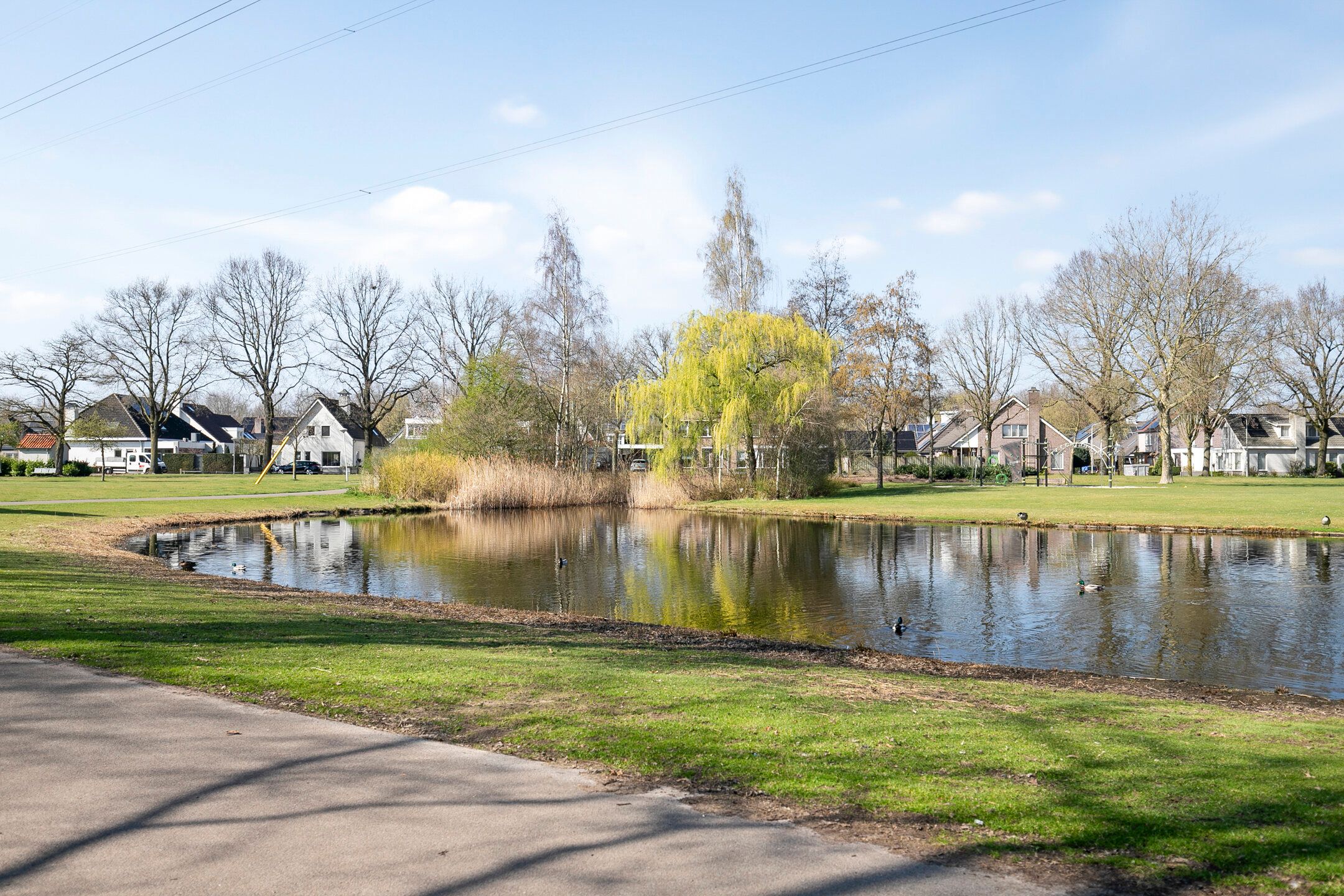 Foto 45 van Duizendblad 3