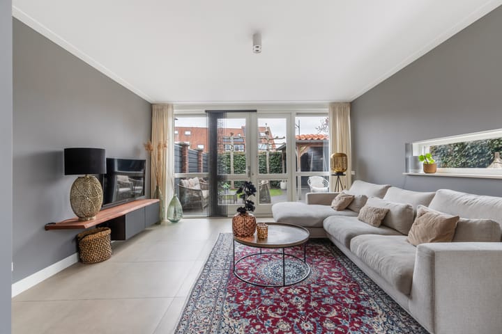 Foto 2 van Tijgervlinder 14