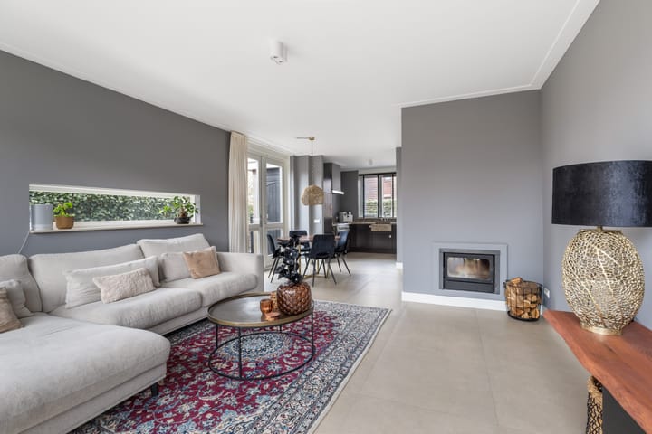 Foto 3 van Tijgervlinder 14