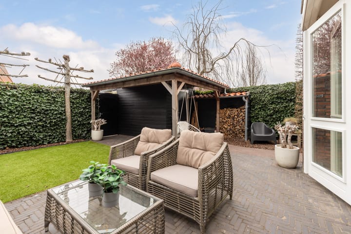 Foto 4 van Tijgervlinder 14