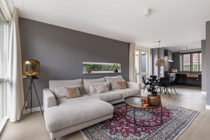 Foto 8 van Tijgervlinder 14