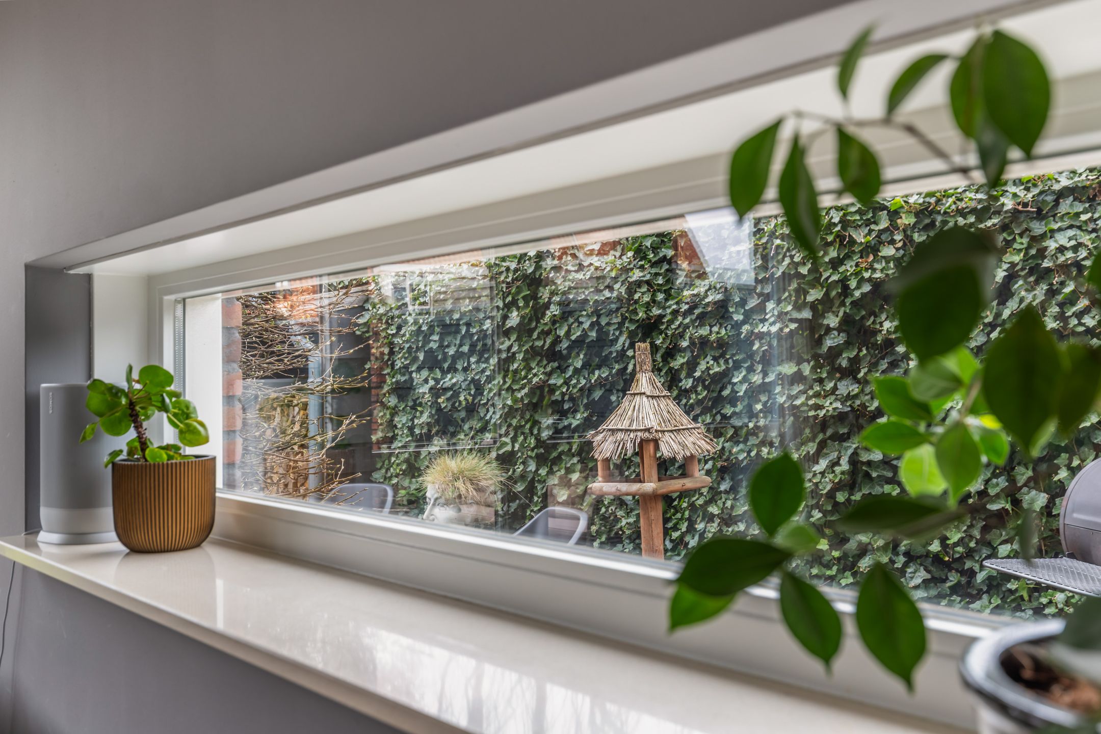 Foto 9 van Tijgervlinder 14