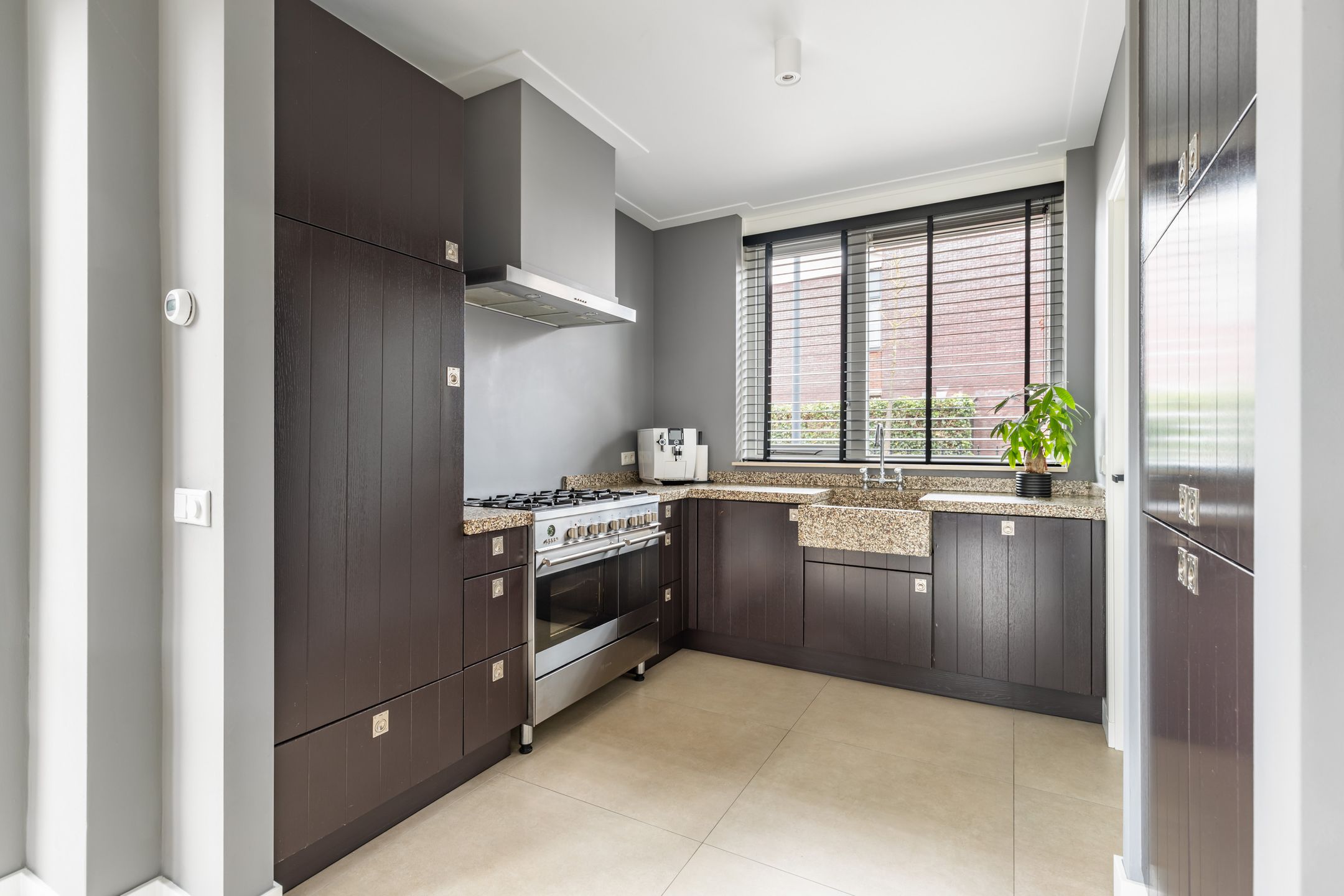 Foto 12 van Tijgervlinder 14