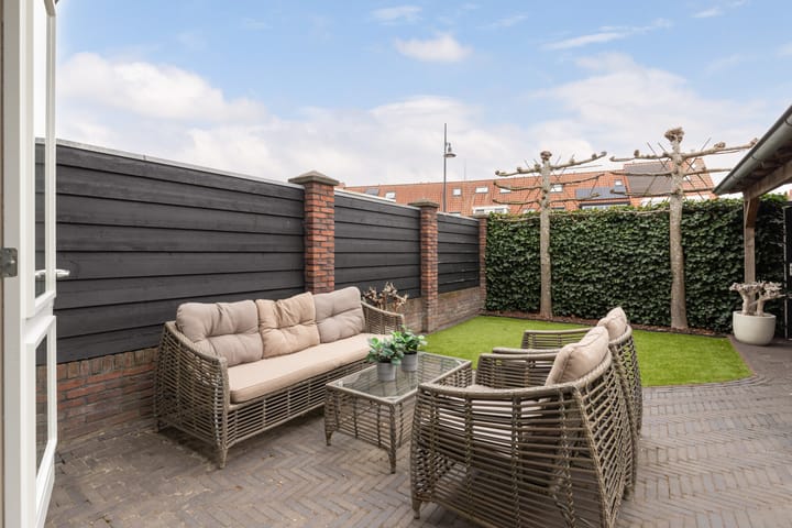 Foto 13 van Tijgervlinder 14