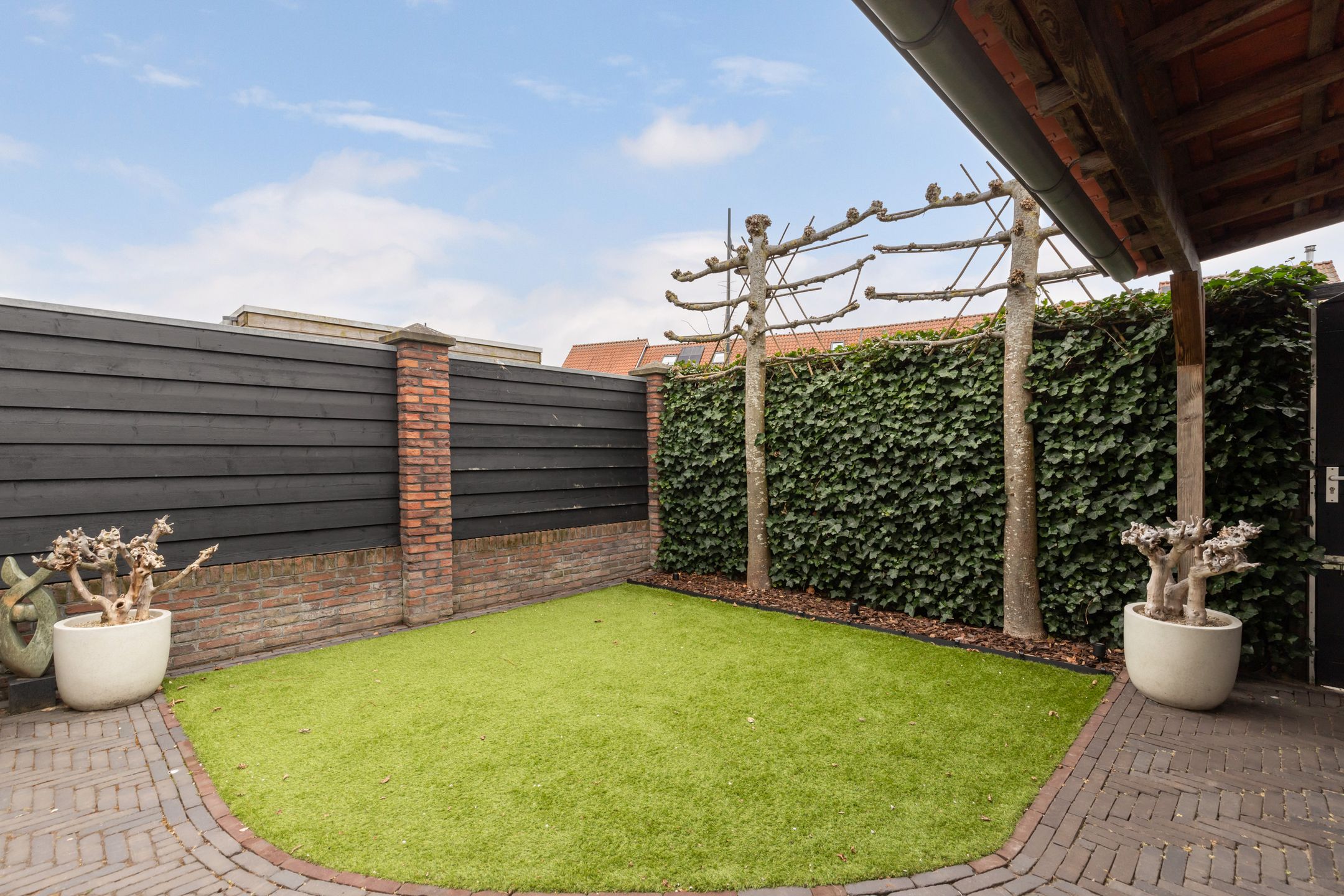 Foto 15 van Tijgervlinder 14