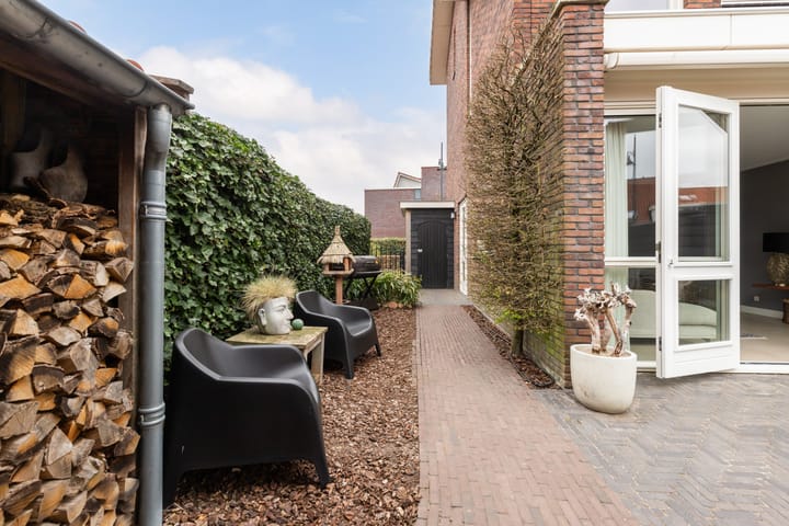 Foto 16 van Tijgervlinder 14