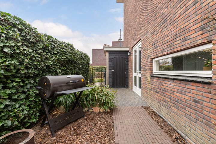 Foto 17 van Tijgervlinder 14