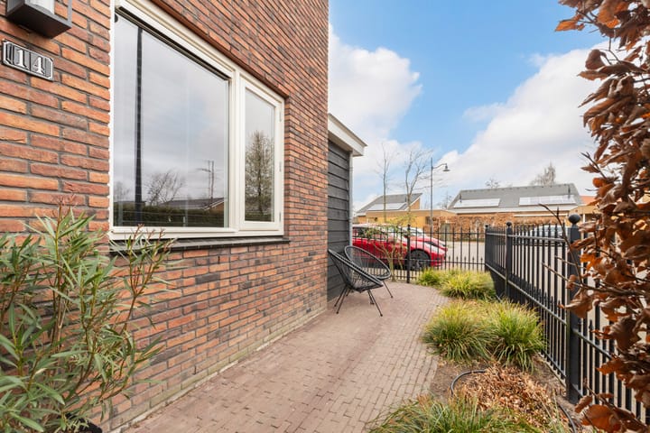 Foto 20 van Tijgervlinder 14