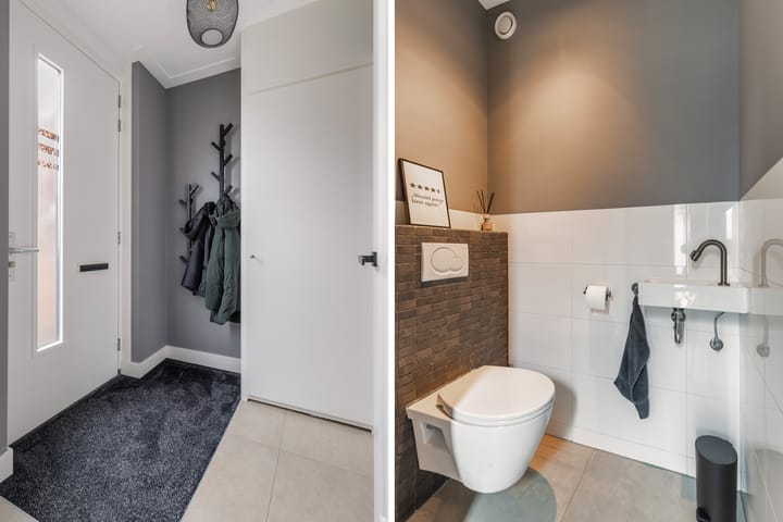 Foto 21 van Tijgervlinder 14