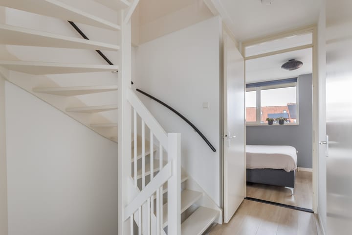 Foto 22 van Tijgervlinder 14