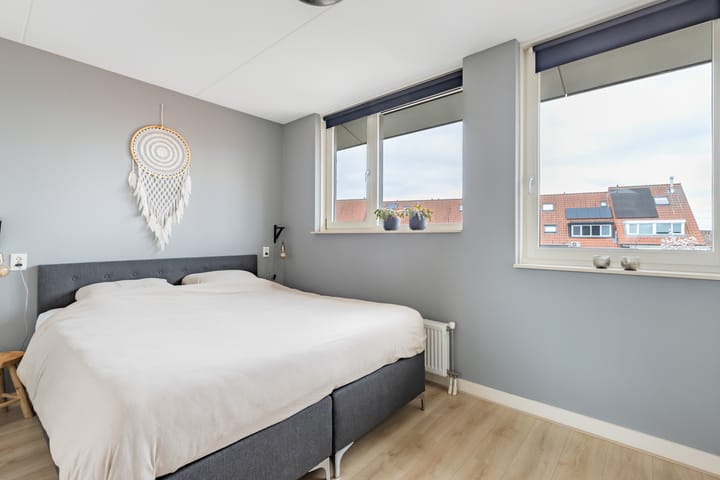 Foto 23 van Tijgervlinder 14