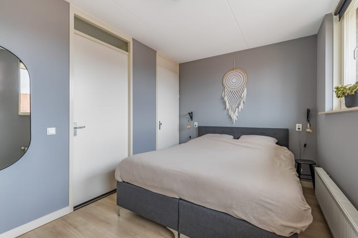 Foto 24 van Tijgervlinder 14