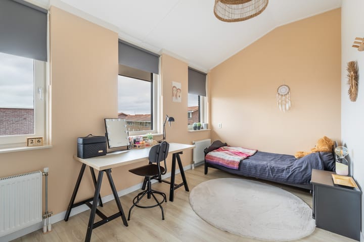 Foto 31 van Tijgervlinder 14