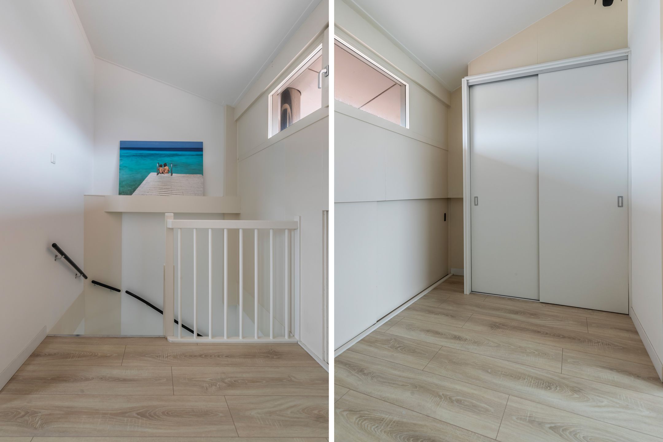 Foto 33 van Tijgervlinder 14