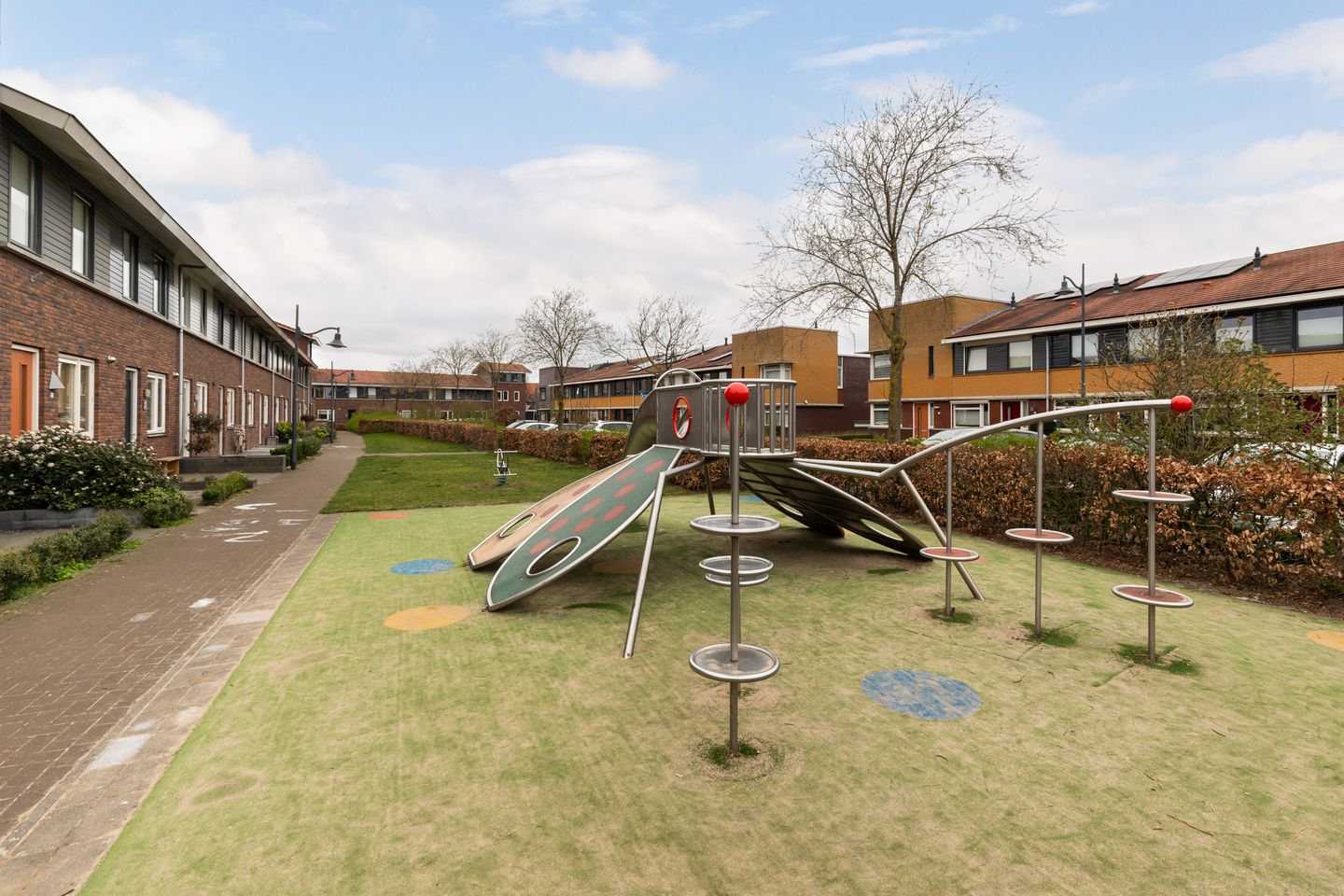 Foto 34 van Tijgervlinder 14