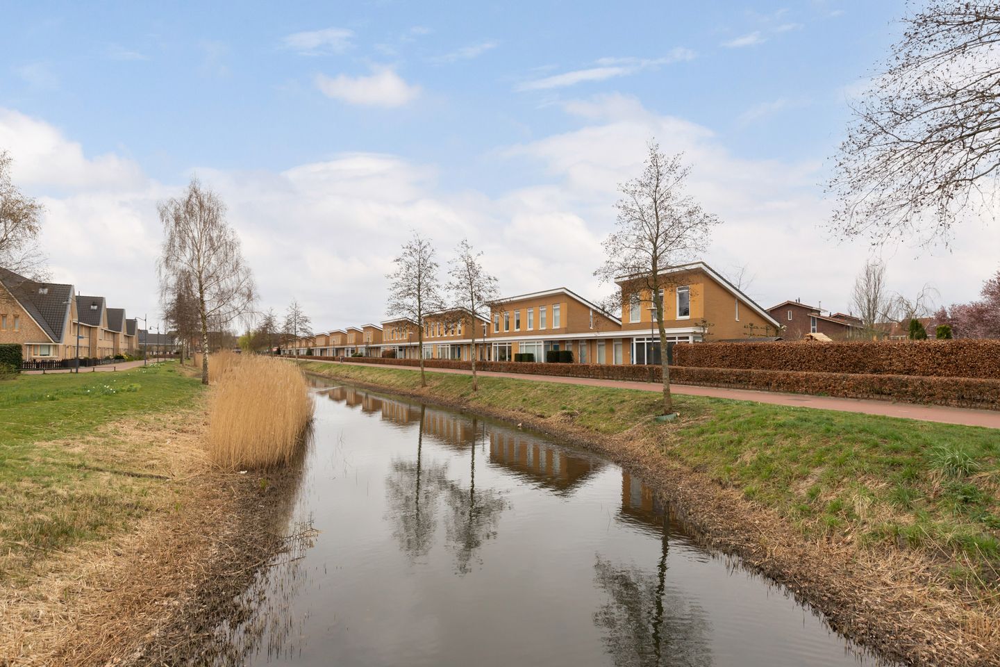 Foto 35 van Tijgervlinder 14