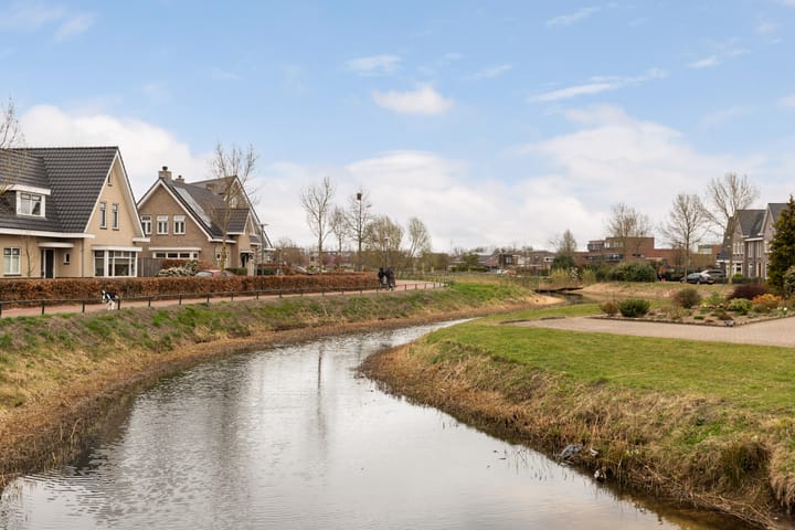 Foto 36 van Tijgervlinder 14