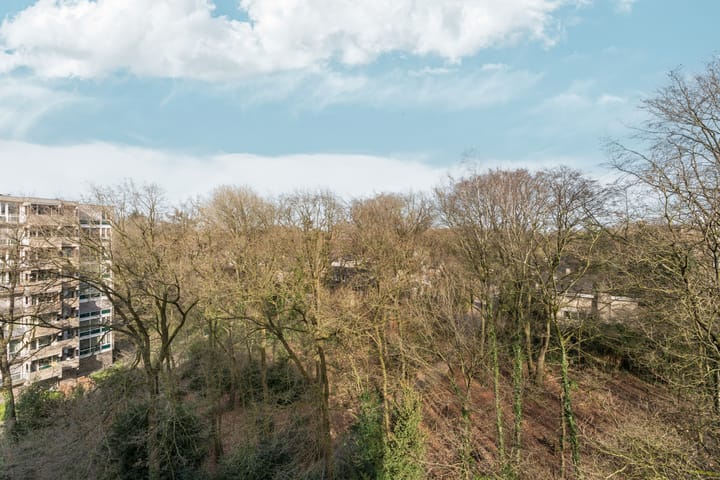 Foto 14 van Koningsberg 72