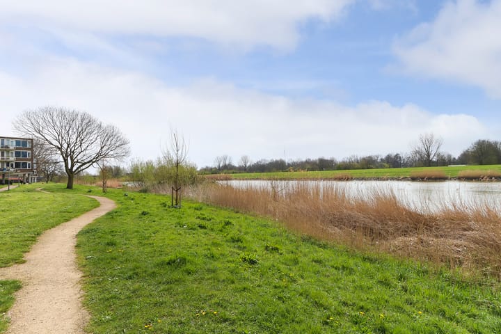 Foto 29 van Dintelstraat 11