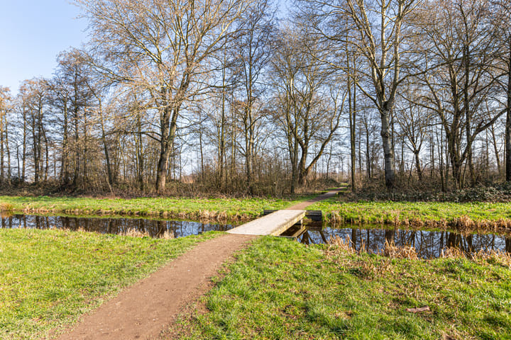 Photo 51 of Dagpauwoogstraat 20