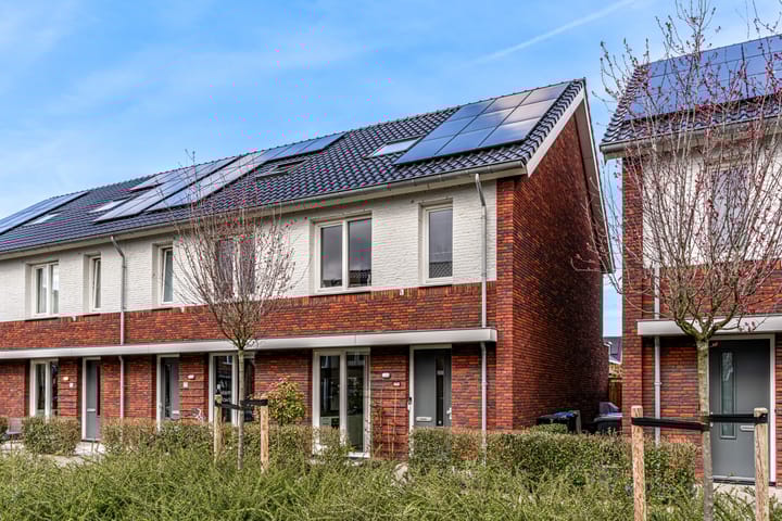 Foto 1 van Frida Katzpad 19