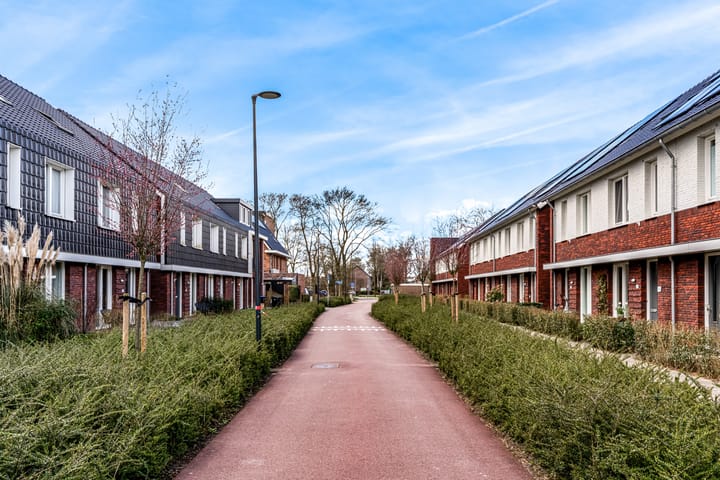 Foto 28 van Frida Katzpad 19