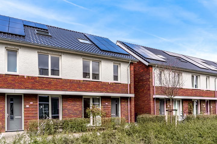 Foto 29 van Frida Katzpad 19