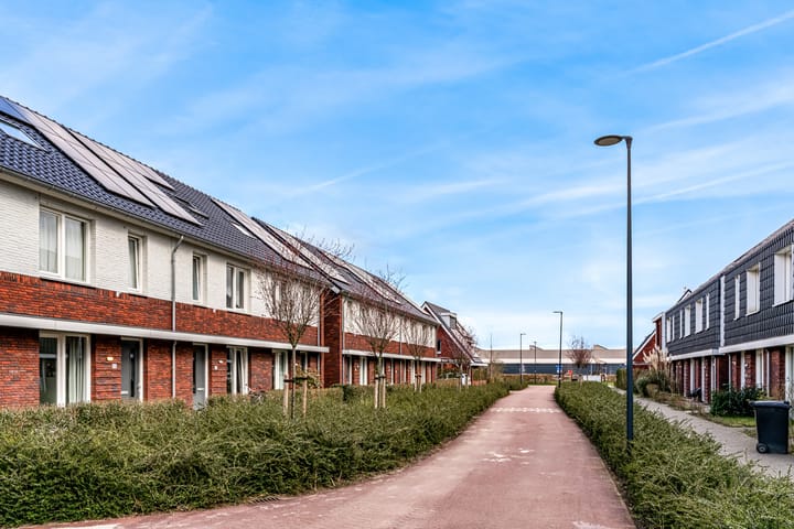 Foto 30 van Frida Katzpad 19