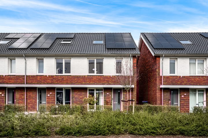 Foto 31 van Frida Katzpad 19