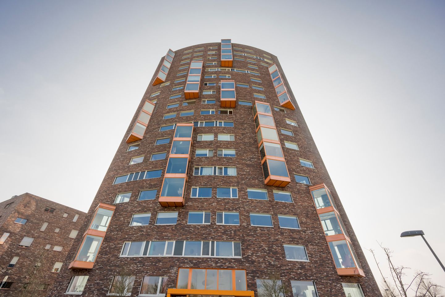 Foto 4 van Forel 208