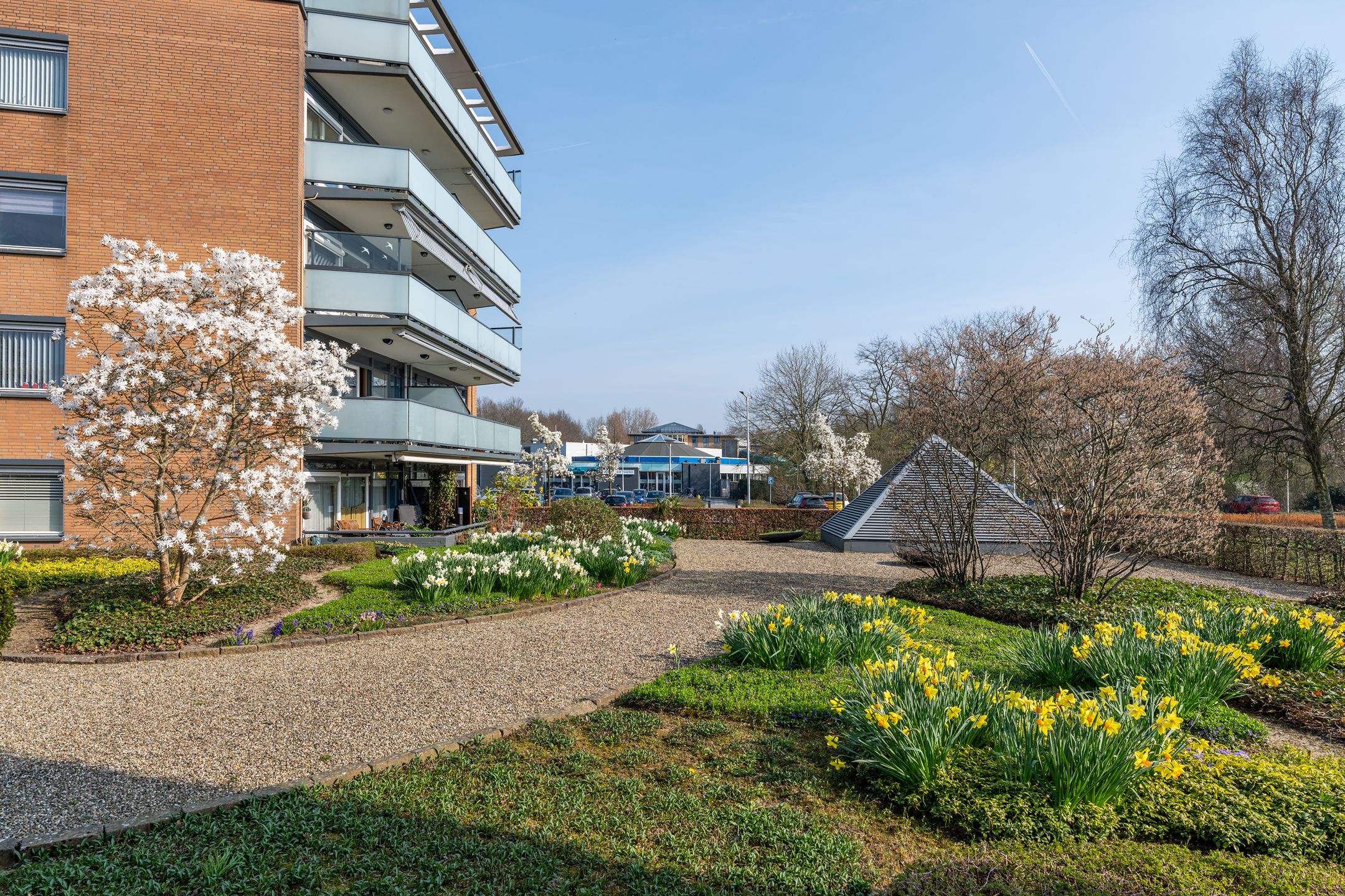 Foto 18 van Frankrijkstraat 162