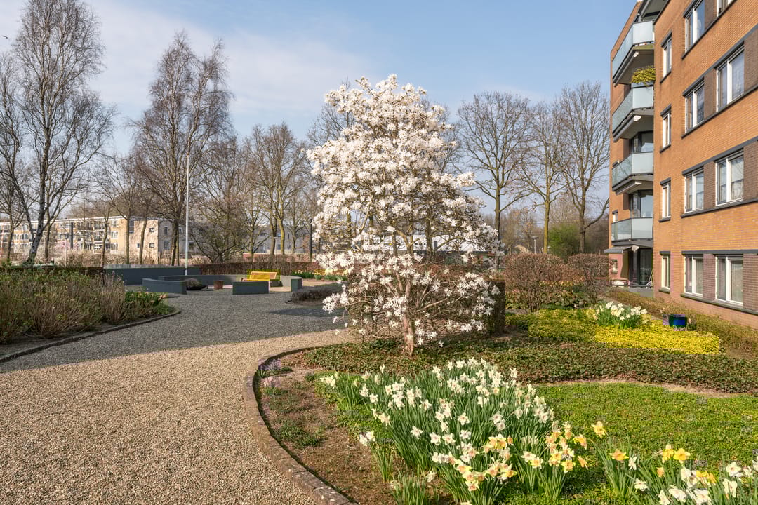 Foto 22 van Frankrijkstraat 162