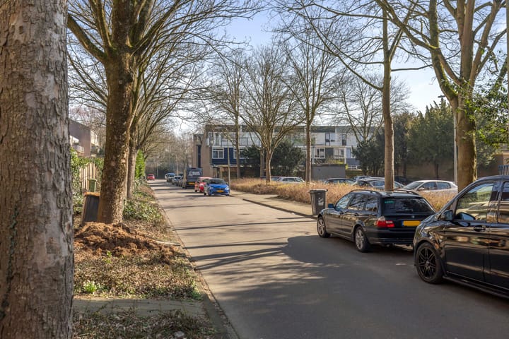 Foto 19 van Gildenburg 238