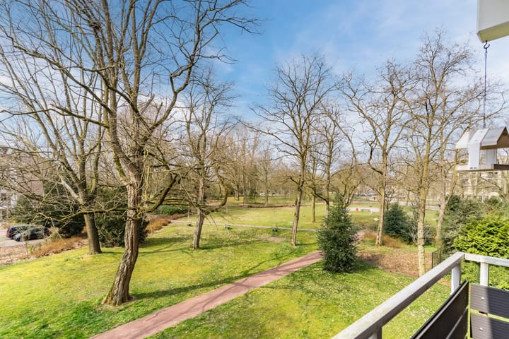 Foto 3 van Paladijnstraat 57