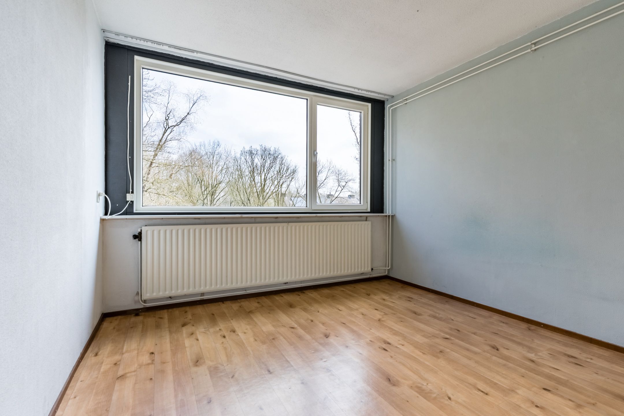 Foto 18 van Paladijnstraat 57